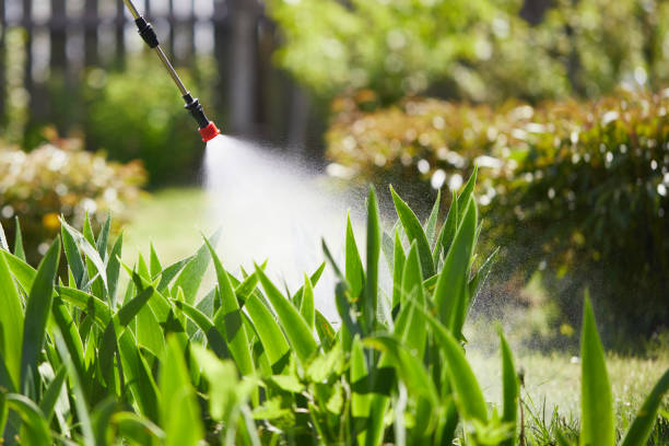 Tamper-Resistant Bait Stations for Rodents in Pinehurst