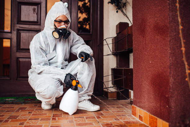 Attic and Crawl Space Rodent Treatment in Pinehurst