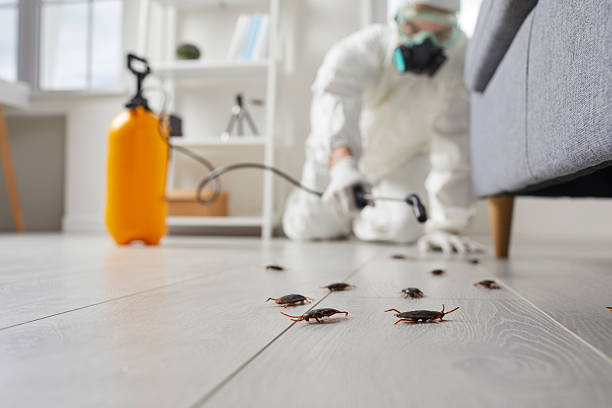 Commercial Rodent Management in Pinehurst